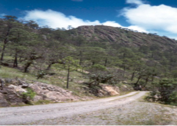 Camino de acceso hacia la Sierra Wixárika